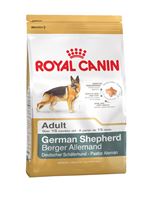 German Shepherd 24 Adult