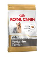 Yorkshire Terrier 28